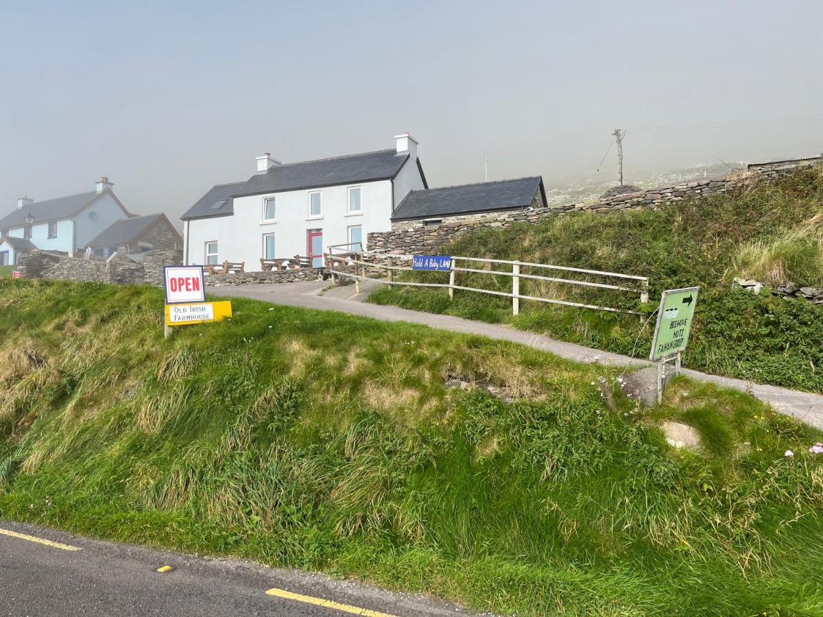 Old Irish Farmhouse Dingle Exterior foto