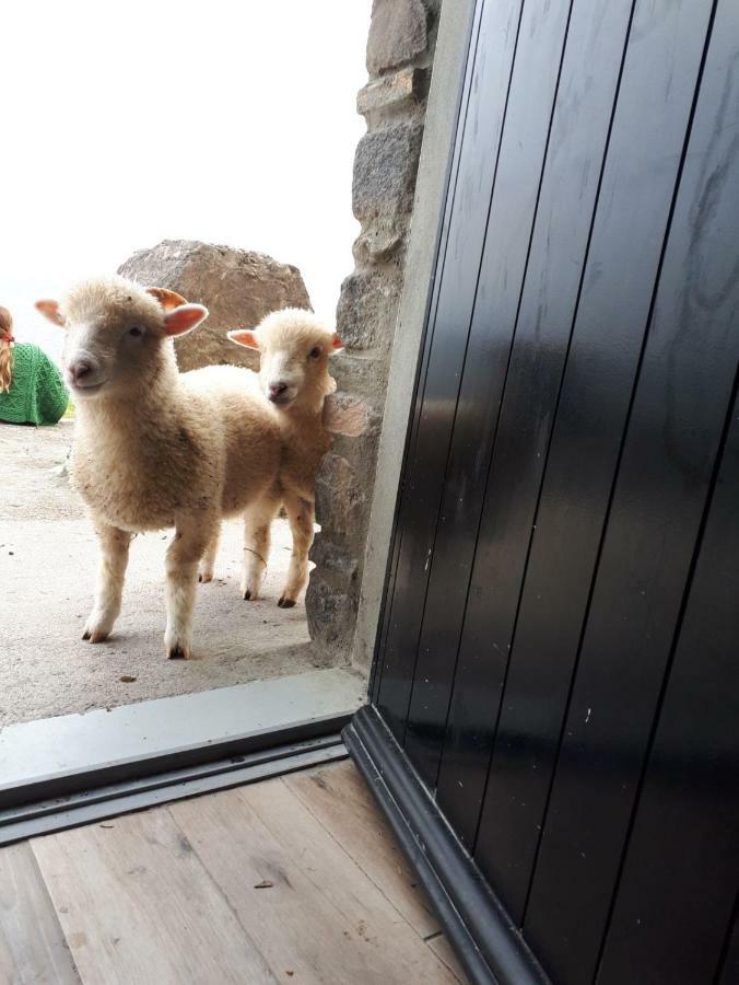 Old Irish Farmhouse Villa Dingle Exterior foto